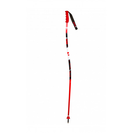 BATONS DE SKI GS SKI POLE SENIOR