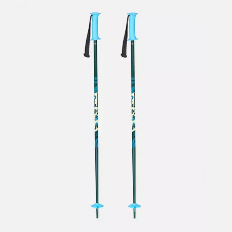 BATONS DE SKI DECOY SAGE