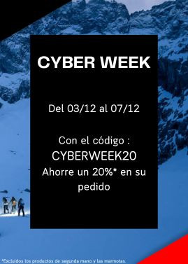 cyber week